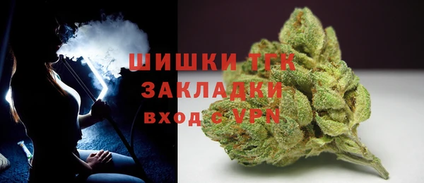 индика Наволоки
