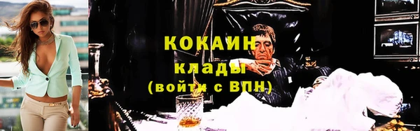 индика Наволоки