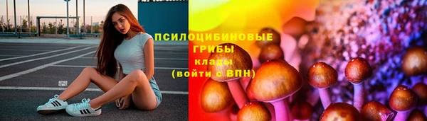 соль ск Надым