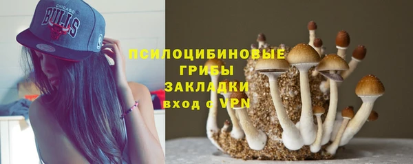 индика Наволоки
