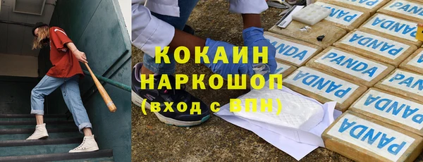 индика Наволоки