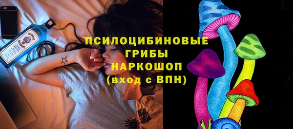 соль ск Надым