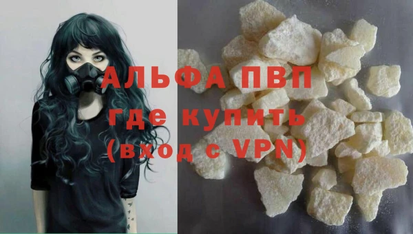 соль ск Надым